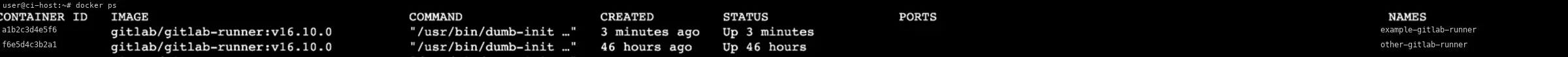 docker ps output showing example-gitlab-runner and other-gitlab-runner containers running gitlab/gitlab-runner:v16.10.0