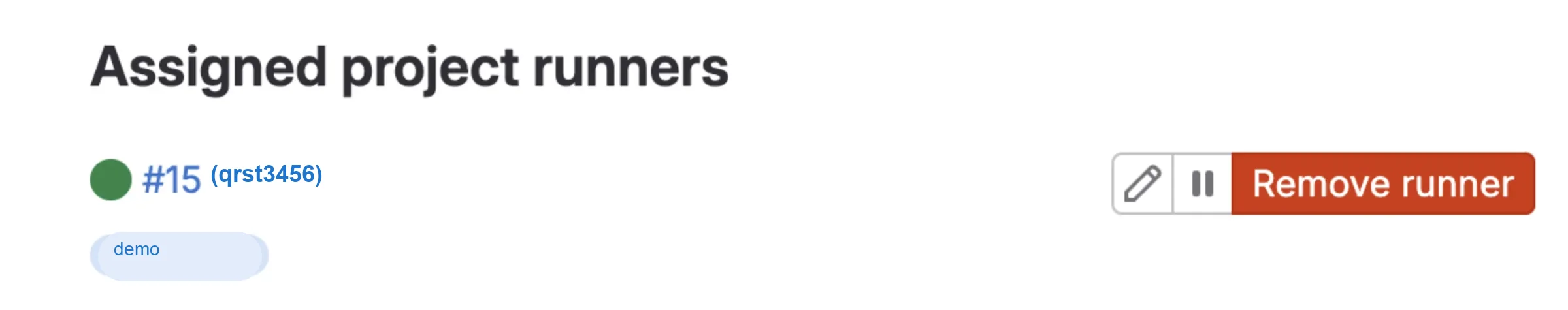Assigned project runners list showing runner 15 tagged demo with a green online status